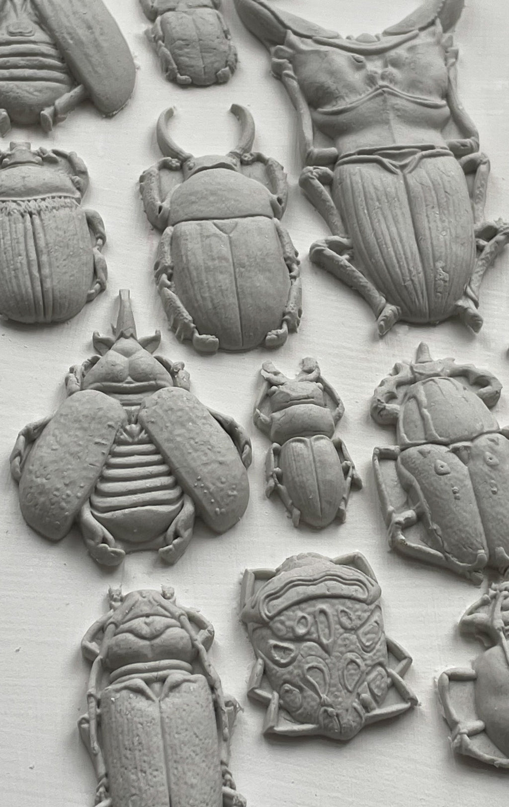 Specimens | Mould | IOD Iron Orchid Designs