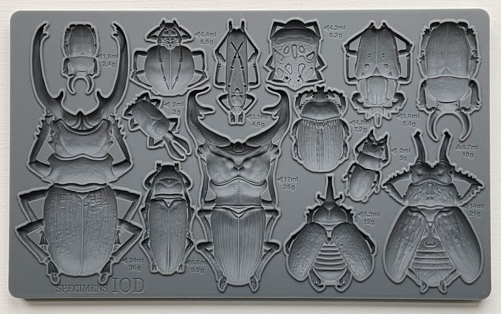 Specimens | Mould | IOD Iron Orchid Designs