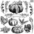 Autumn Blessings | Stamp | IOD Iron Orchid Designs