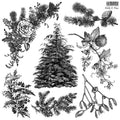 Holly & Pine | Stamp | IOD Iron Orchid Designs