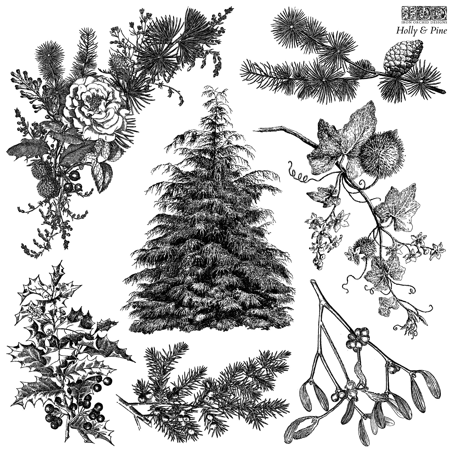 Holly & Pine | Stamp | IOD Iron Orchid Designs
