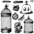 Pastiche | Stamp | IOD Iron Orchid Designs