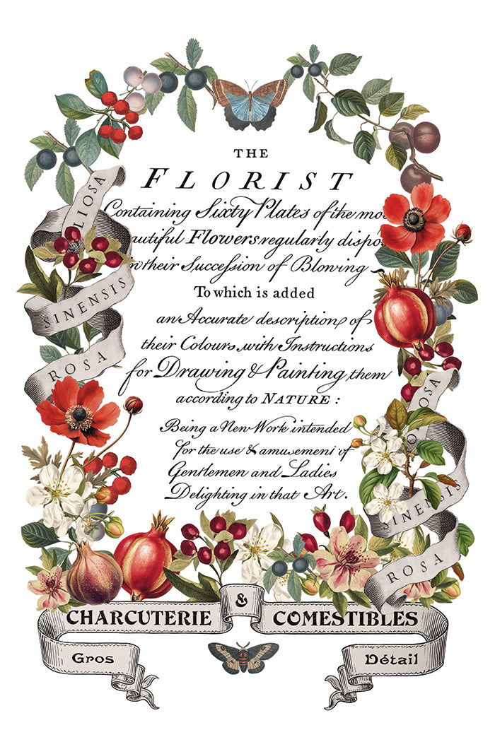 Clementine | Transfer | IOD Iron Orchid Designs