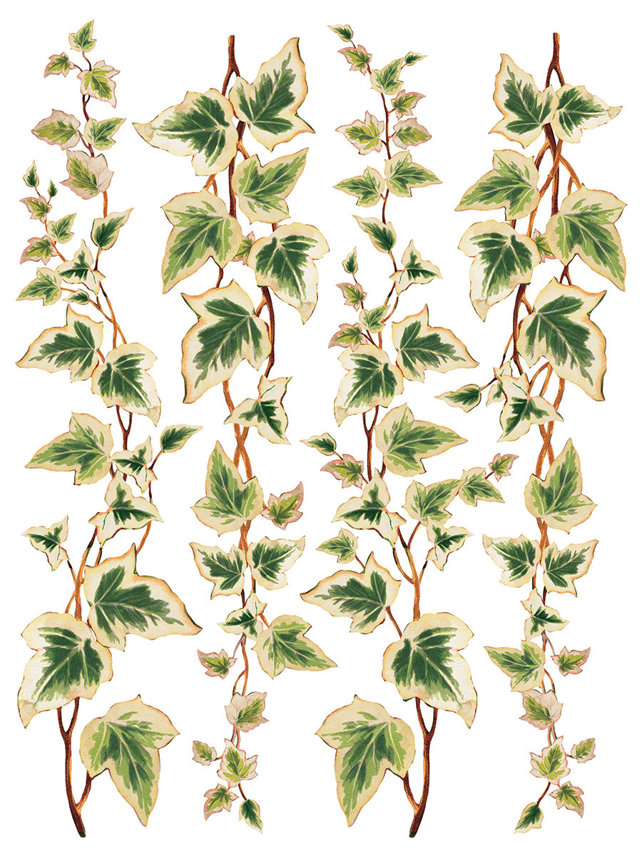 Collage de Fleurs | Transfer | IOD Iron Orchid Designs