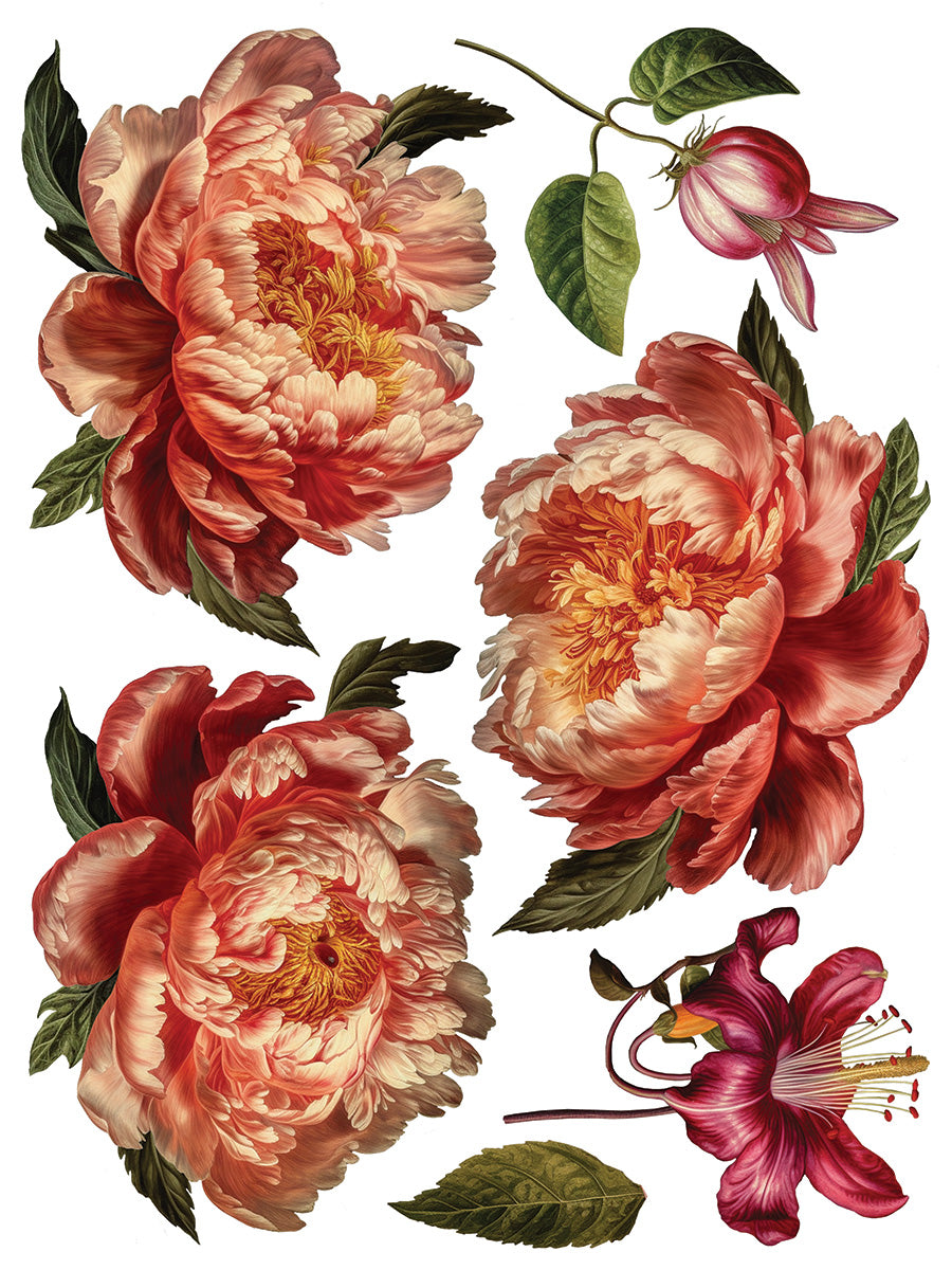 Collage de Fleurs | Transfer | IOD Iron Orchid Designs