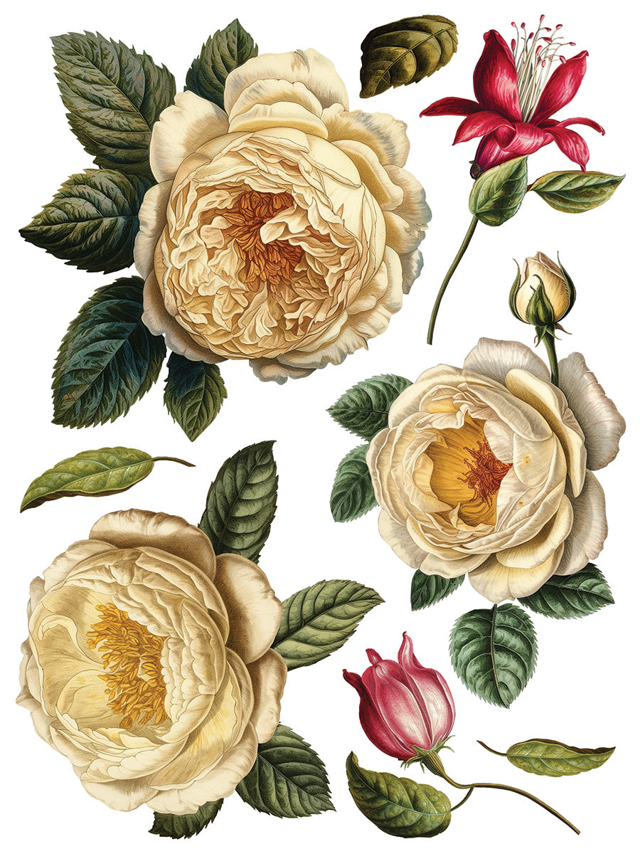 Collage de Fleurs | Transfer | IOD Iron Orchid Designs