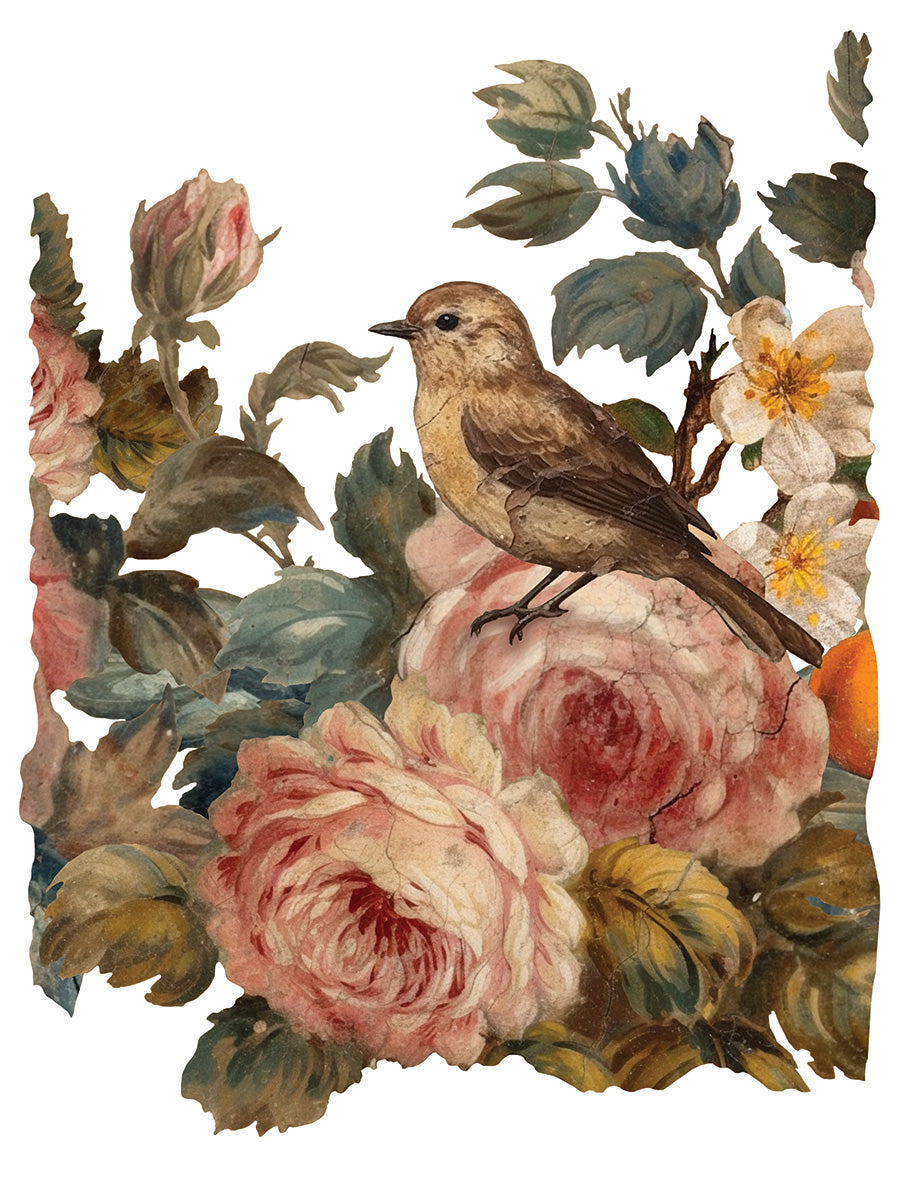 Joie des Roses | Transfer | IOD Iron Orchid Designs