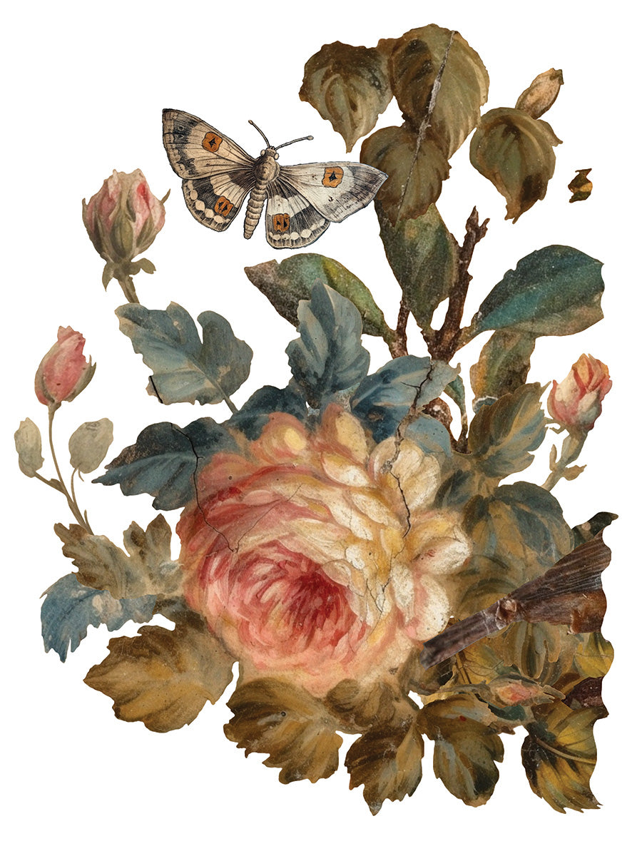 Joie des Roses | Transfer | IOD Iron Orchid Designs