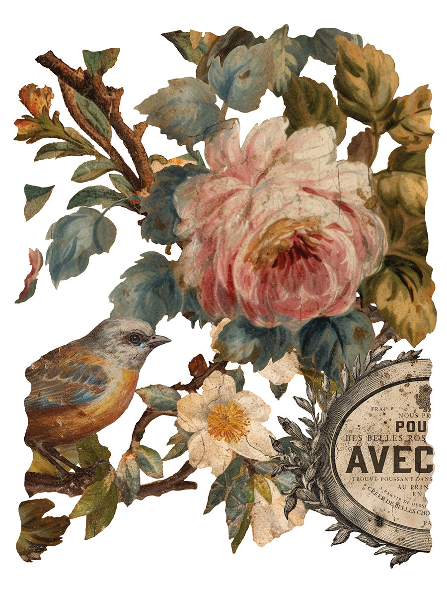 Joie des Roses | Transfer | IOD Iron Orchid Designs