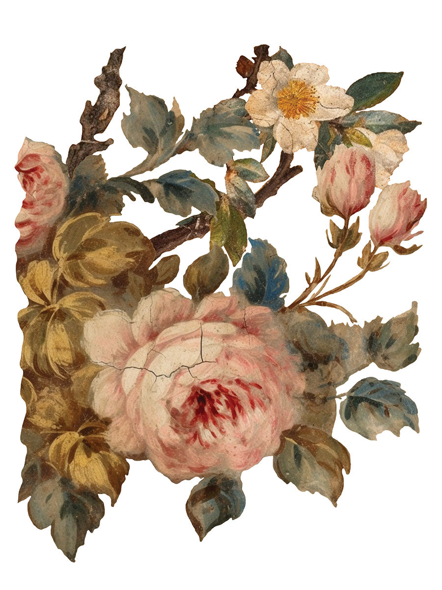 Joie des Roses | Transfer | IOD Iron Orchid Designs