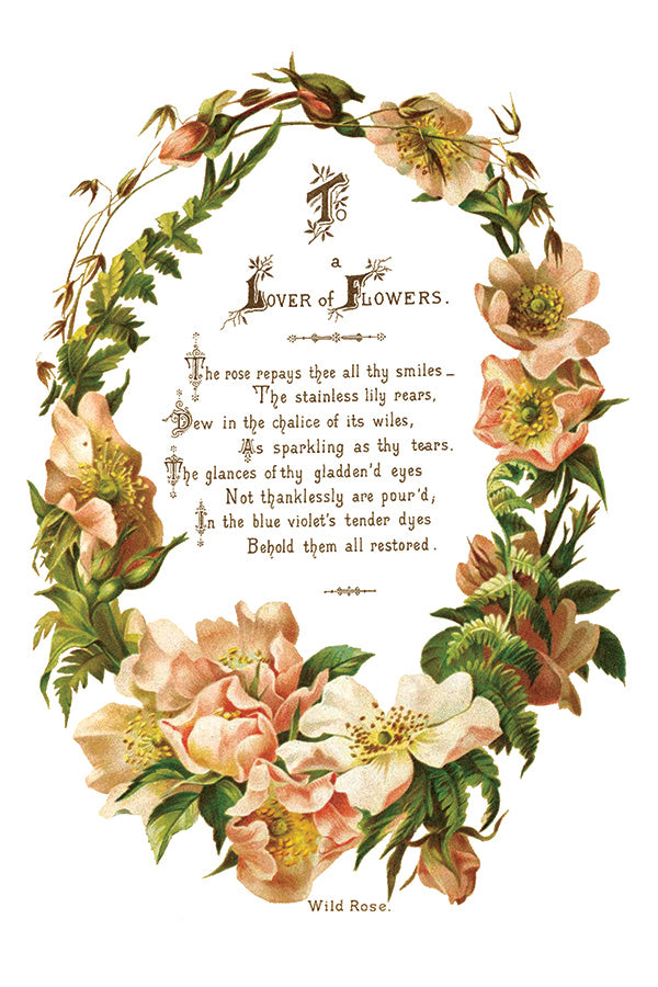 Lover Of Flowers | Transfer | IOD Iron Orchid Designs
