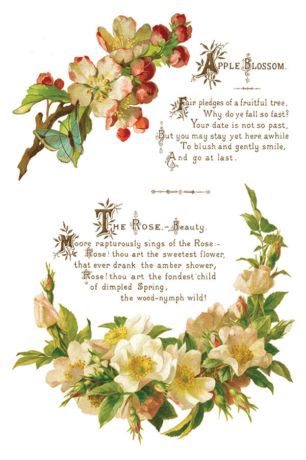 Lover Of Flowers | Transfer | IOD Iron Orchid Designs