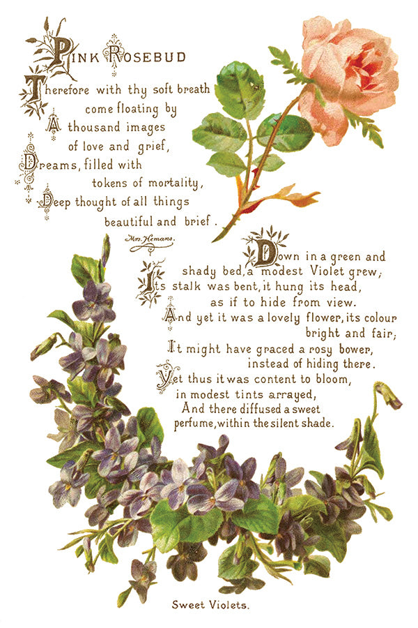 Lover Of Flowers | Transfer | IOD Iron Orchid Designs