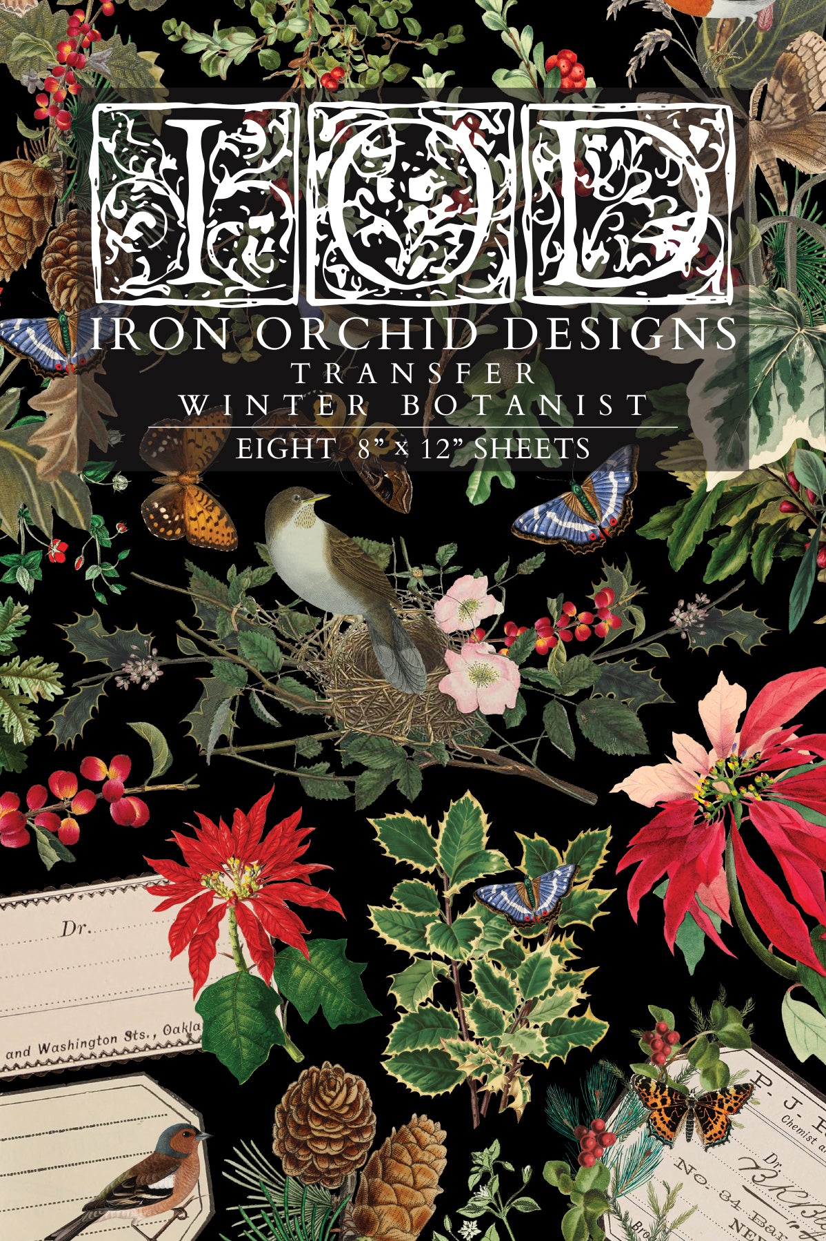 Winter Botanist | Transfer | IOD Iron Orchid Designs