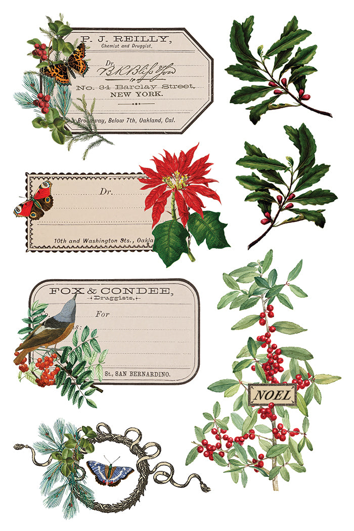 Winter Botanist | Transfer | IOD Iron Orchid Designs
