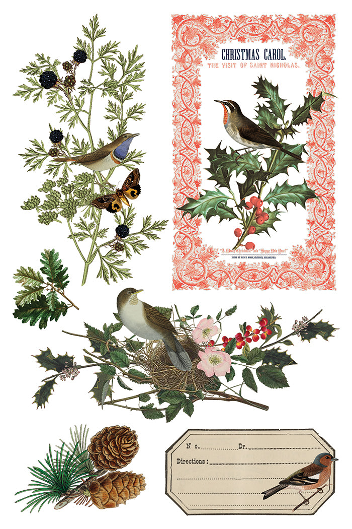 Winter Botanist | Transfer | IOD Iron Orchid Designs