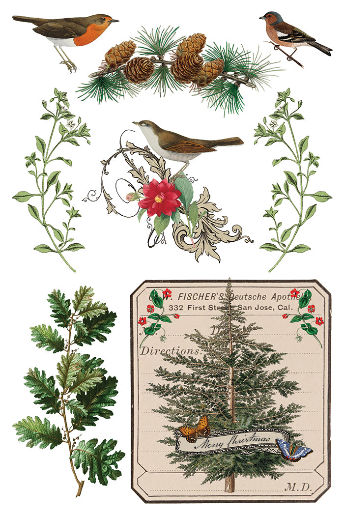 Winter Botanist | Transfer | IOD Iron Orchid Designs