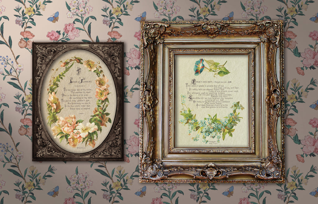 Lover Of Flowers | Transfer | IOD Iron Orchid Designs