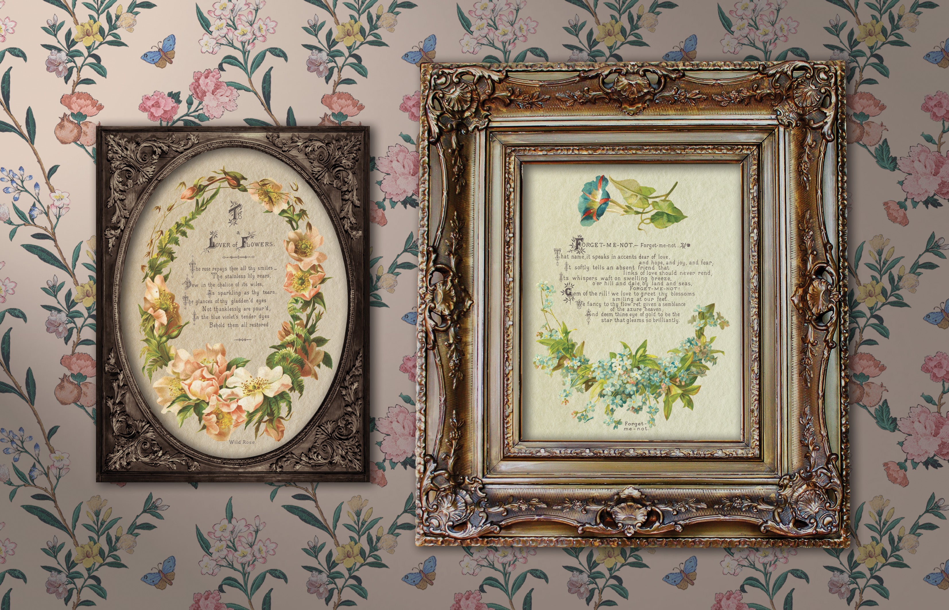 Lover Of Flowers | Transfer | IOD Iron Orchid Designs