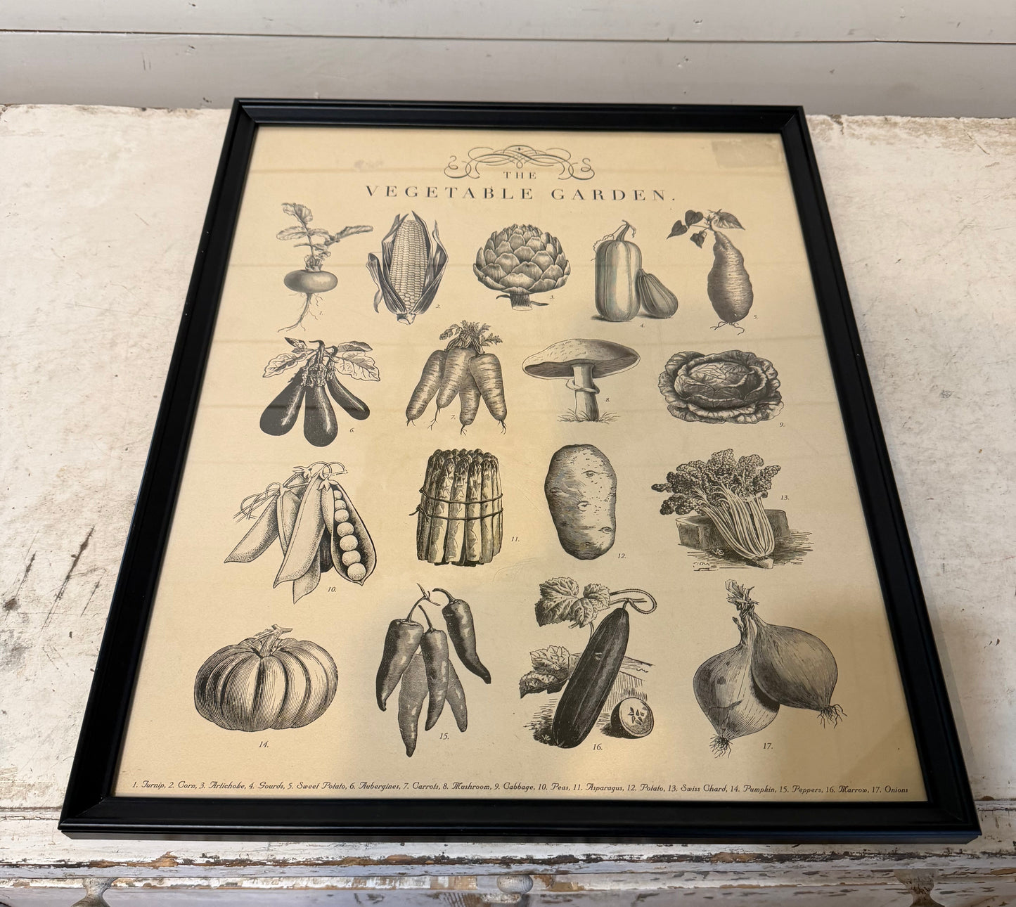 Framed Botanical Vegetable Print