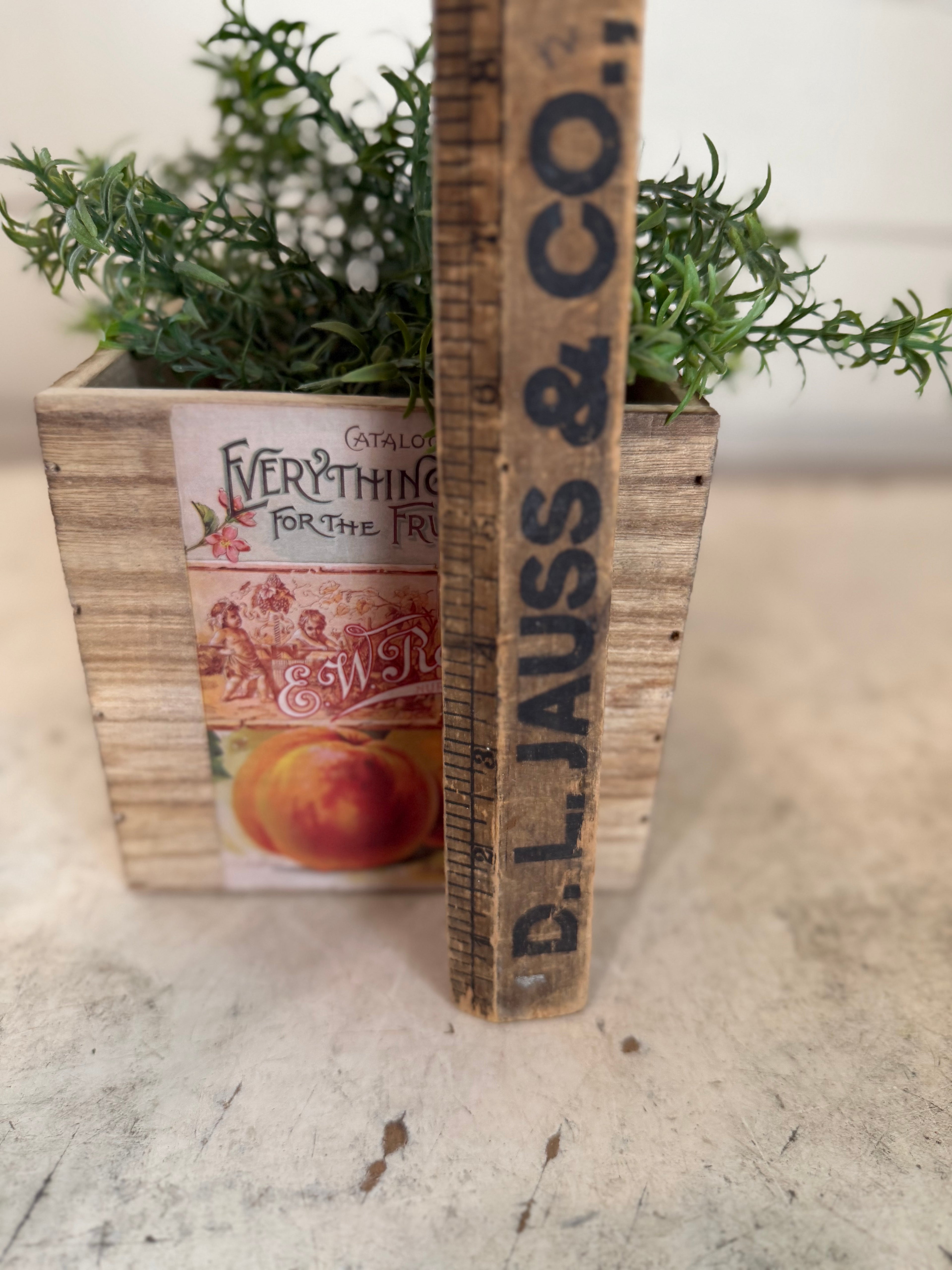 Vintage style fruit Box greenery not included
