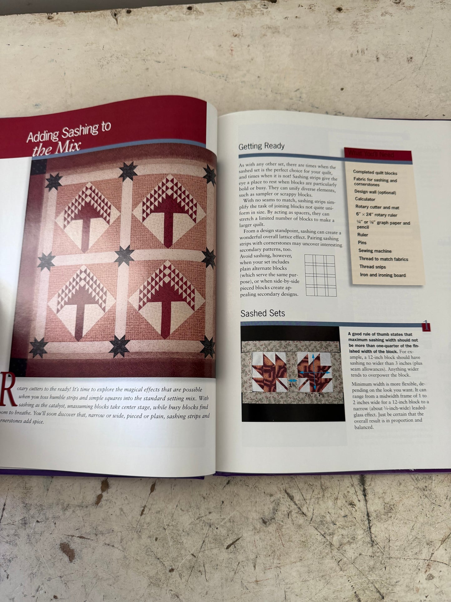 Sensational Sets and Borders by Sally Schneider