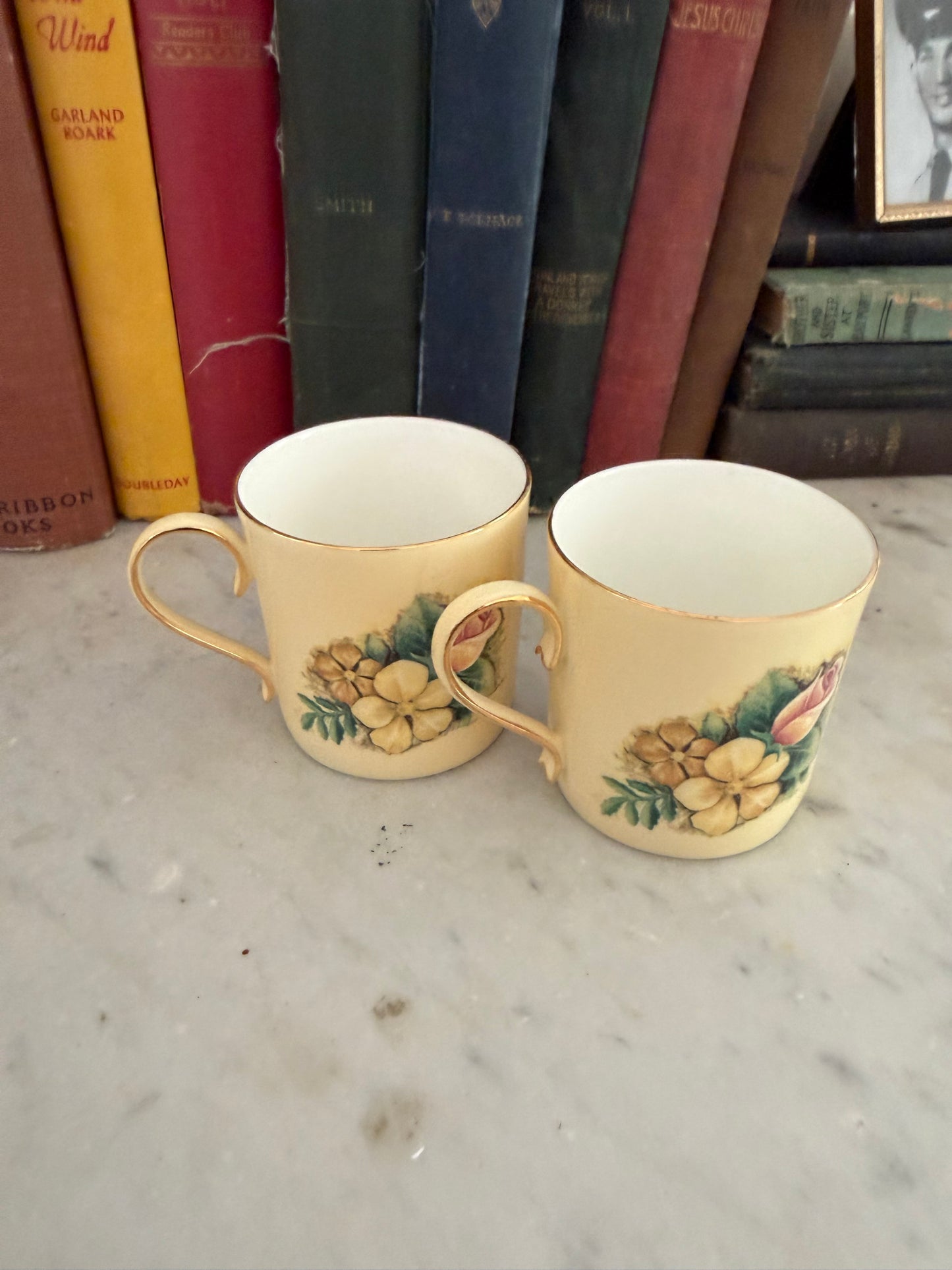Yellow Bone China Tea Cup set