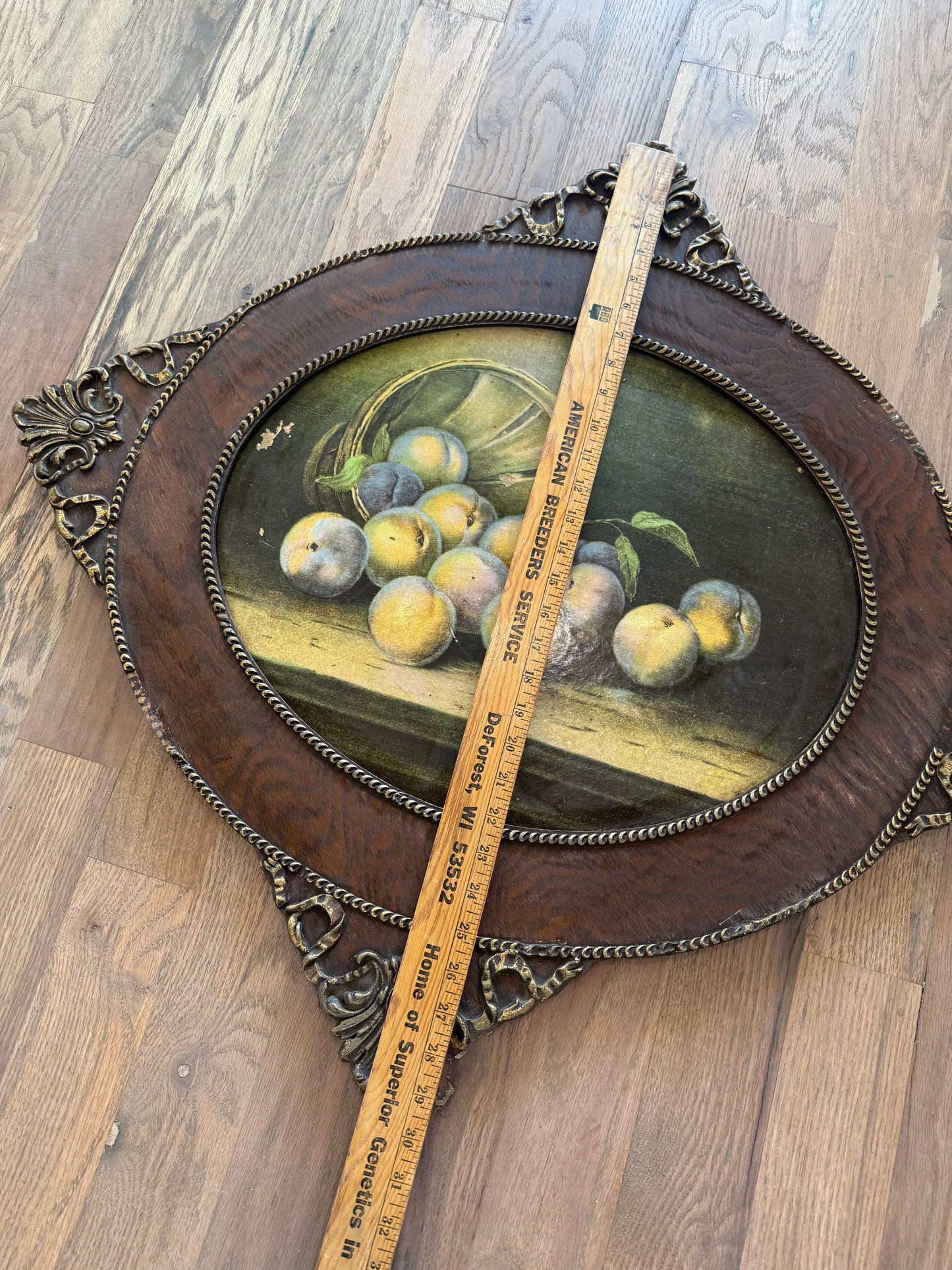 Gorgeous Antique Print Still Life Fruit with Oval Wood Frame