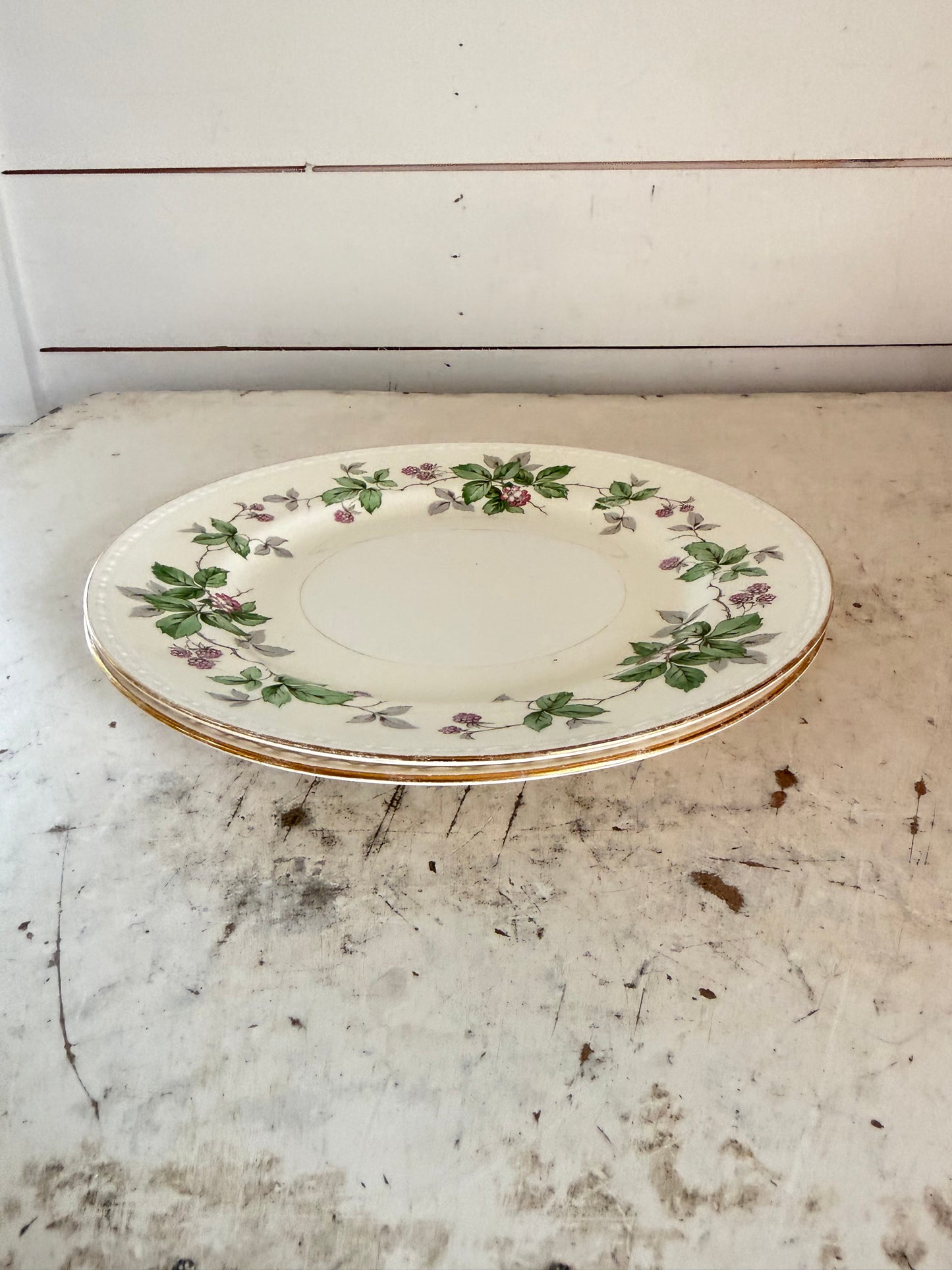 Homer Laughlin Greenbriar dinner plate from the Georgian Eggshell line sold individually