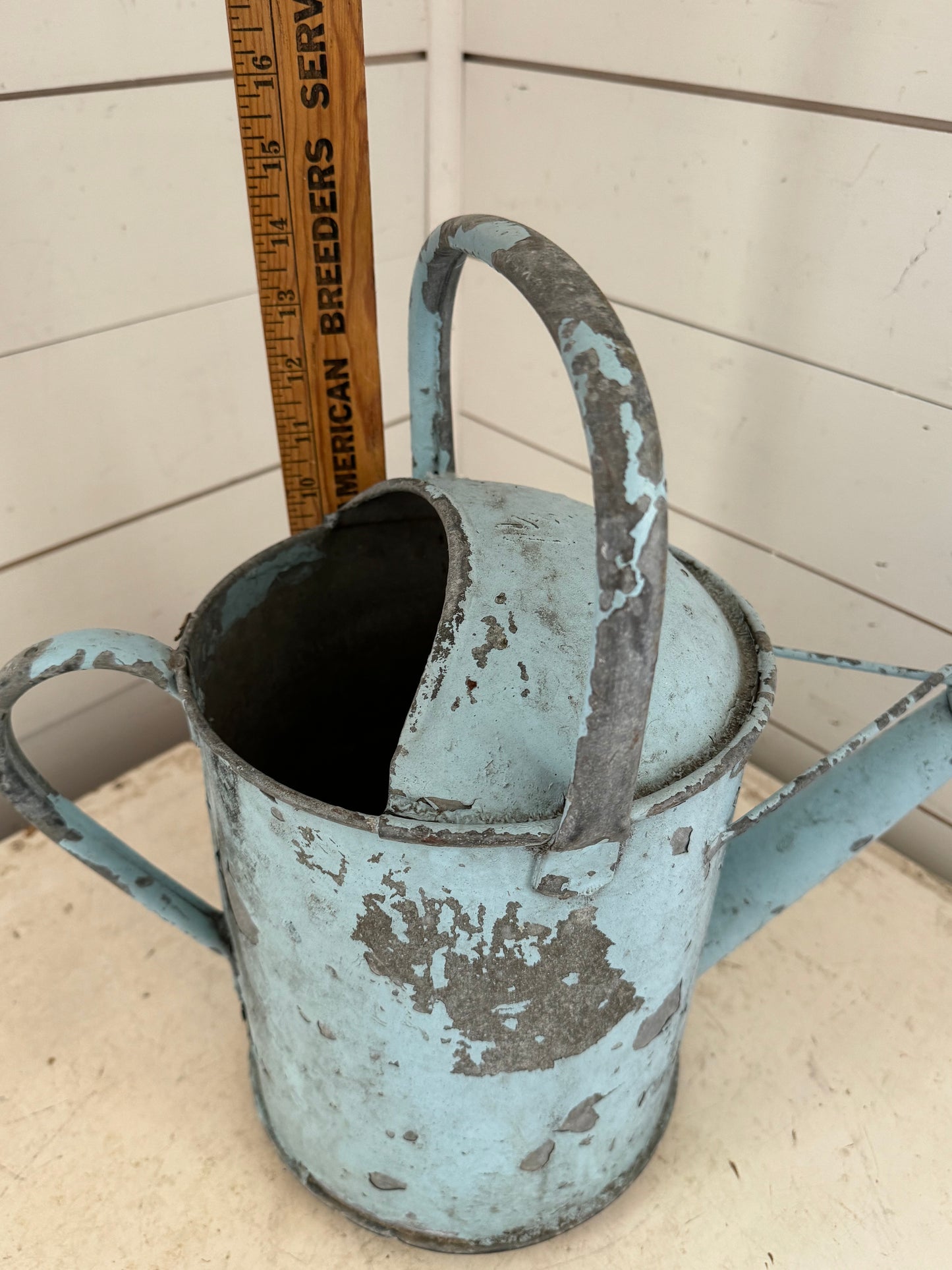 Antique English Chippy Water Can