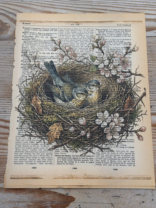 Bird in Nest Printed on Old Dictionary Pages