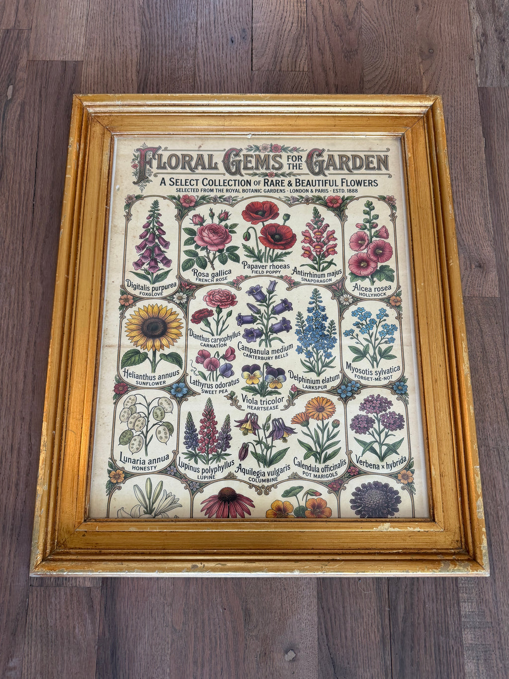 Large Wood gold colored frame with Floral Gems of the Garden Print