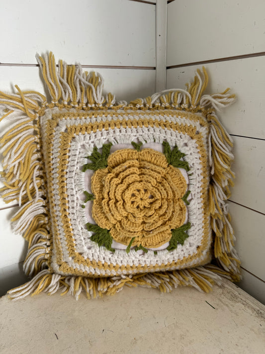 Crochet Pillow with insert