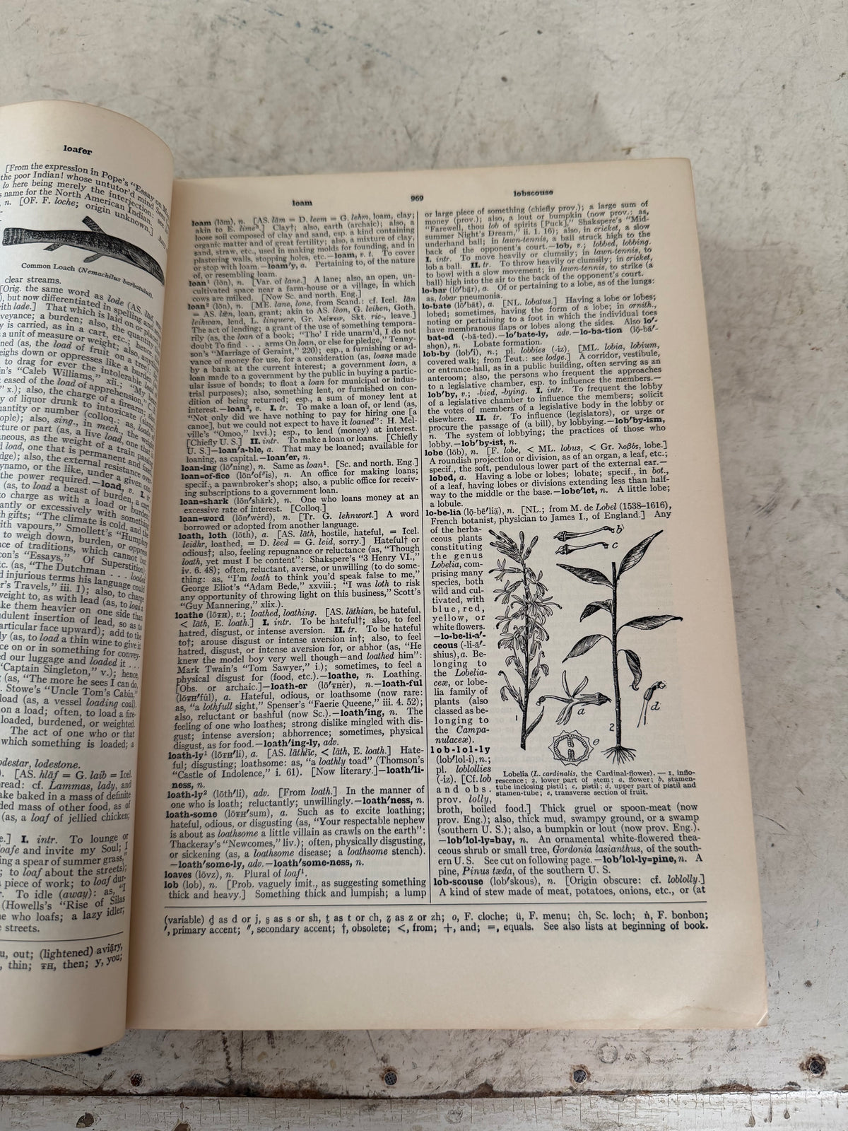 The New Century Library Dictionary Volume 2