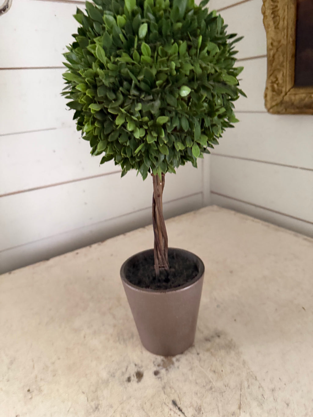 Topiary will get makeover
