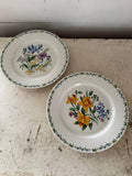 Thompson Pottery Retired Floral Garden Set of 2 Dinner Plates 10.25"