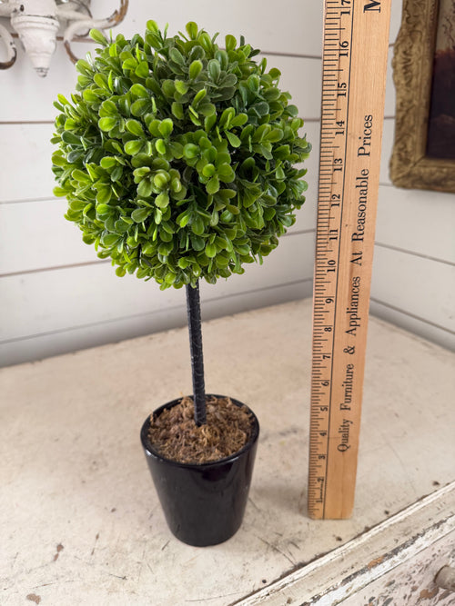 17” Topiary will get makeover