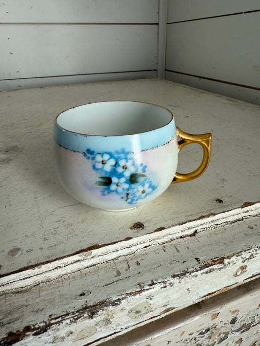 Bavarian Teacup - hand painted