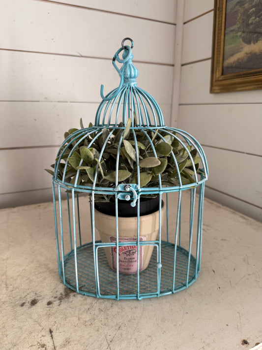 Blue Bird Cage Floral not included