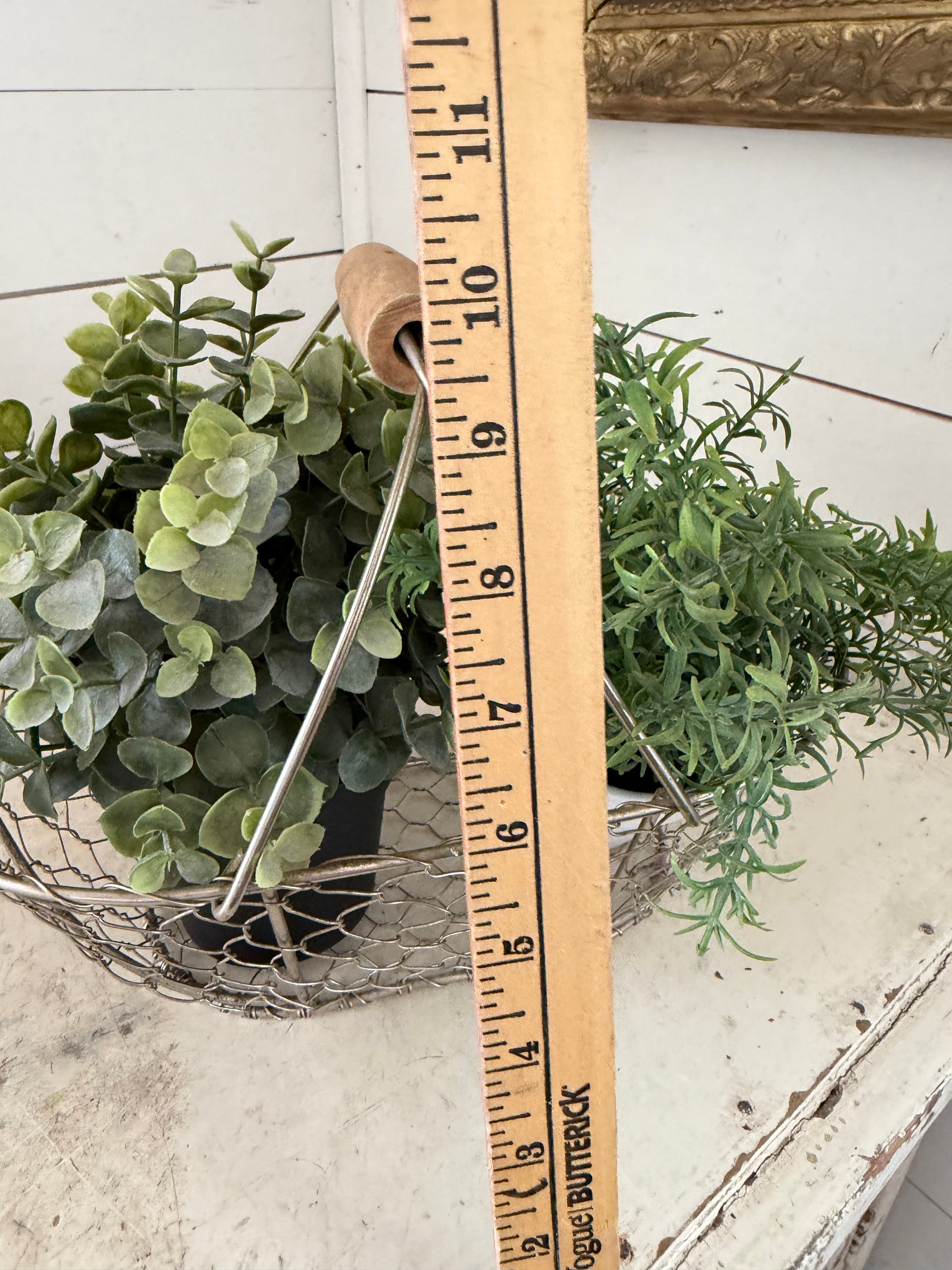 Chicken wire basket greenery not included