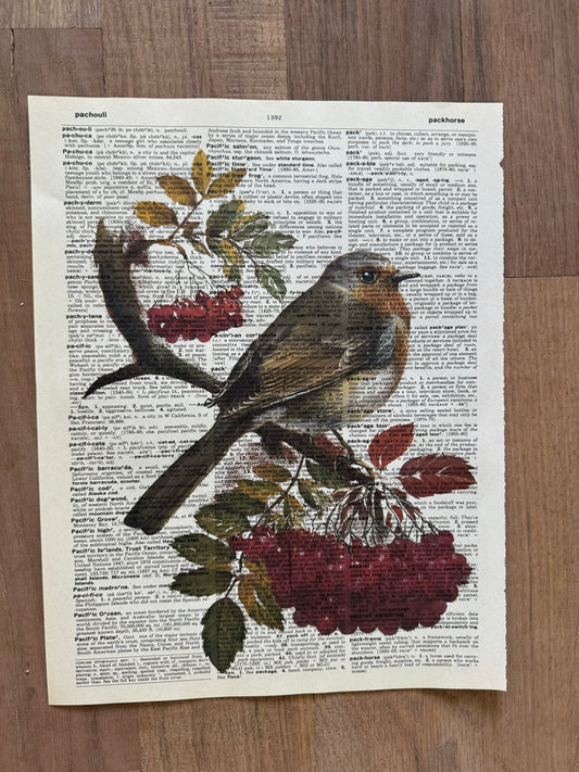 Sparrow on Berry Branch Dictionary Page