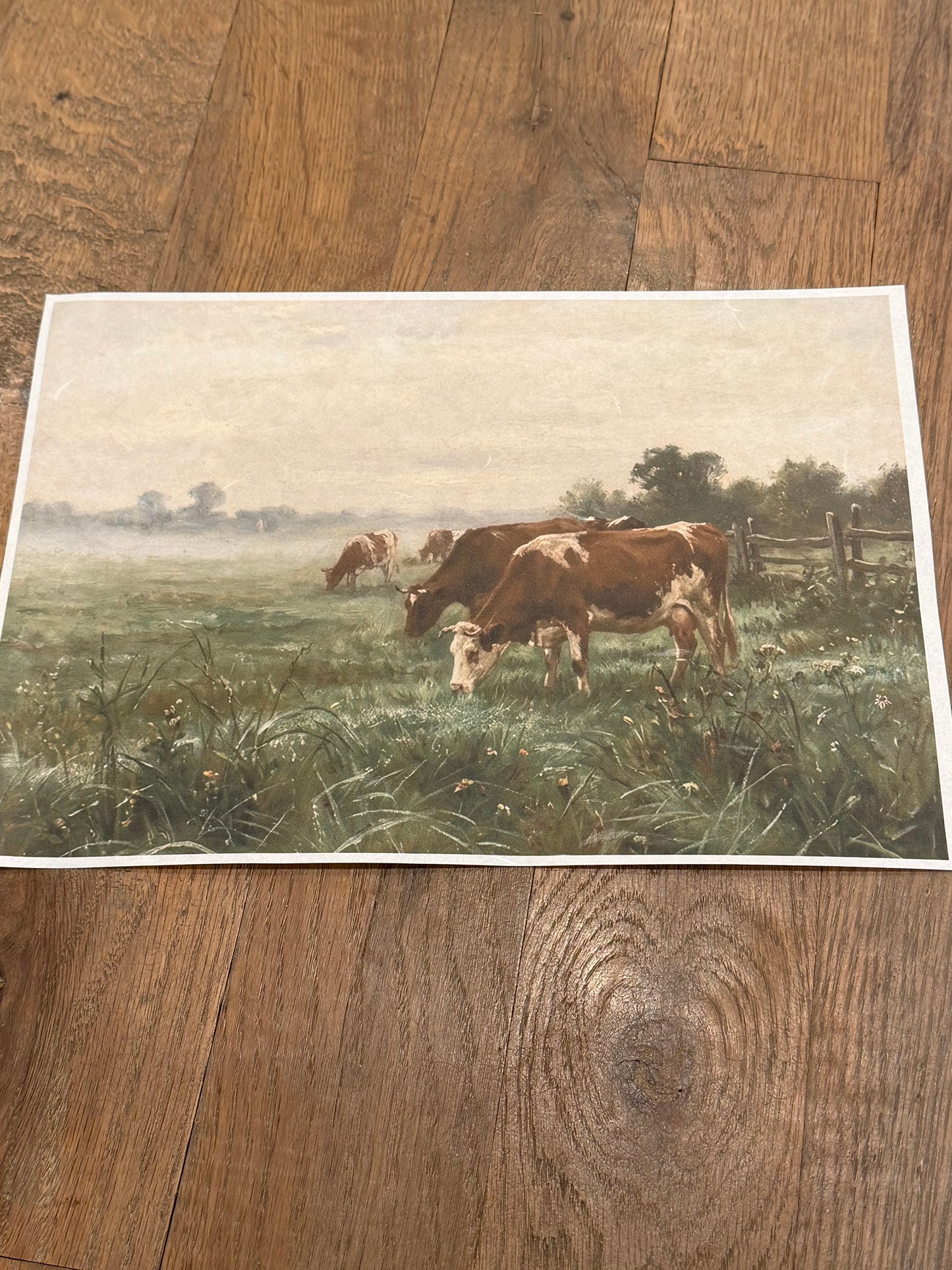 JRV Paper Subscription | Sign Up by 01/12/26 To Get January 2026 Papers