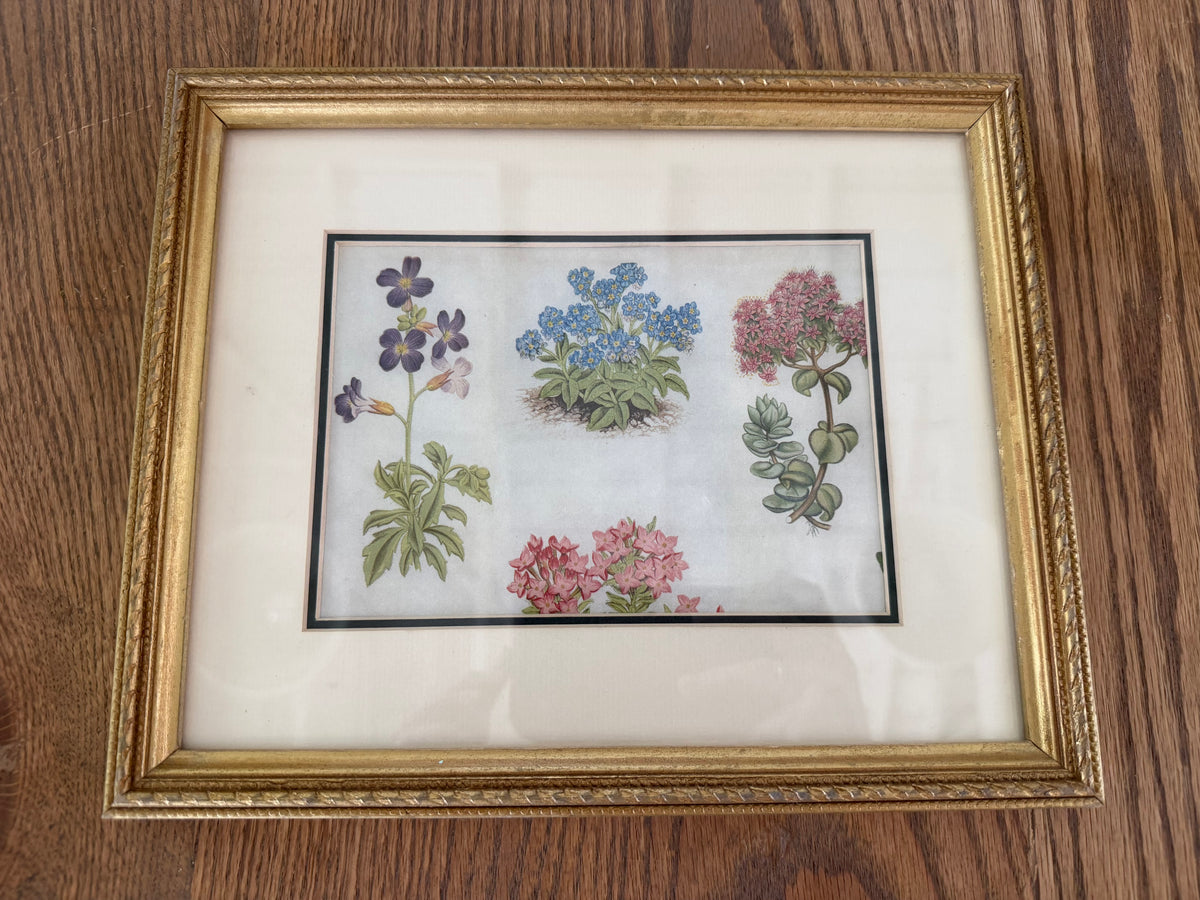 Floral Print in Gold Frame 11” across