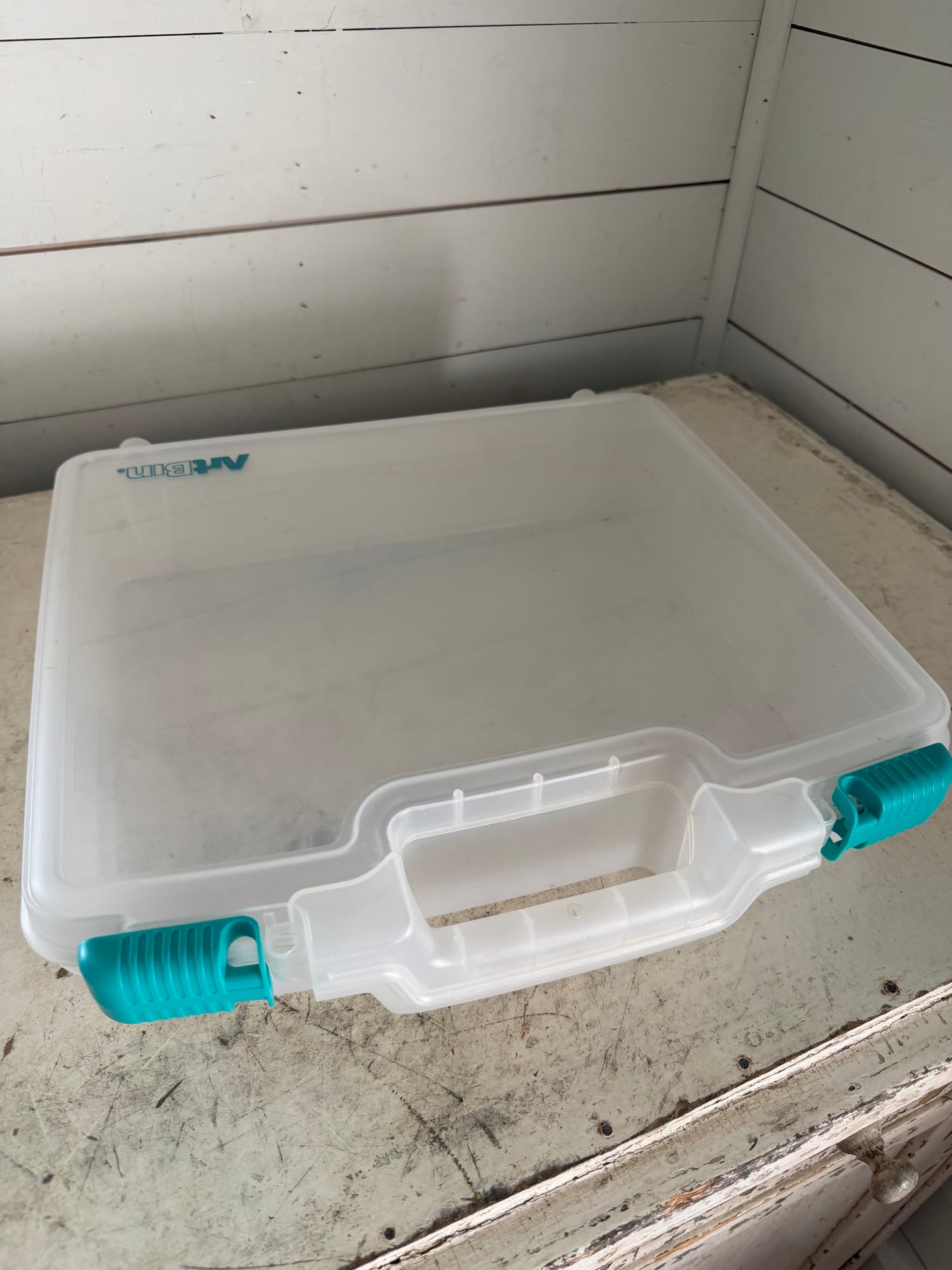 Art bin case