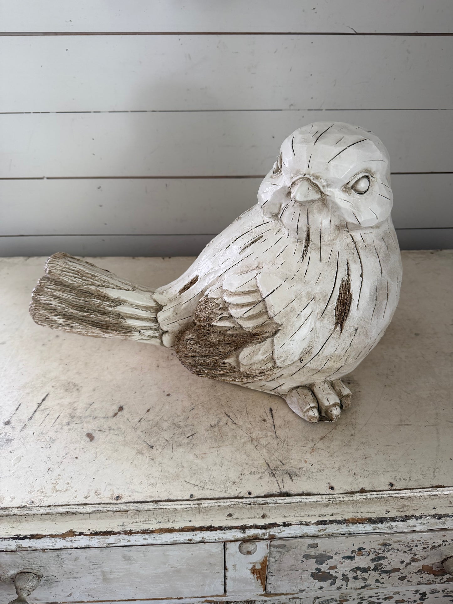 Large Garden Bird