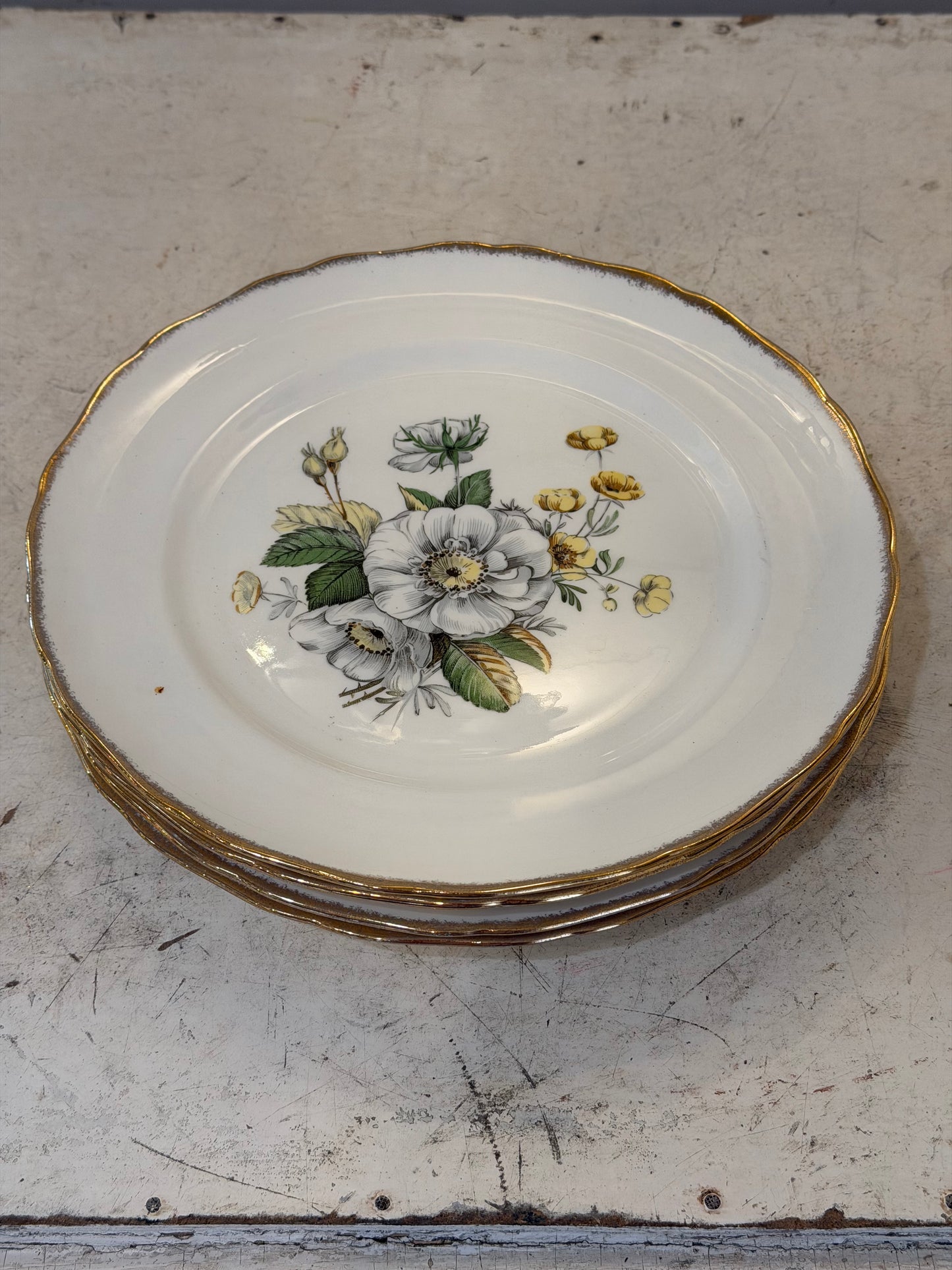 Canonsburg "Linda" pattern dinner plate sold individually