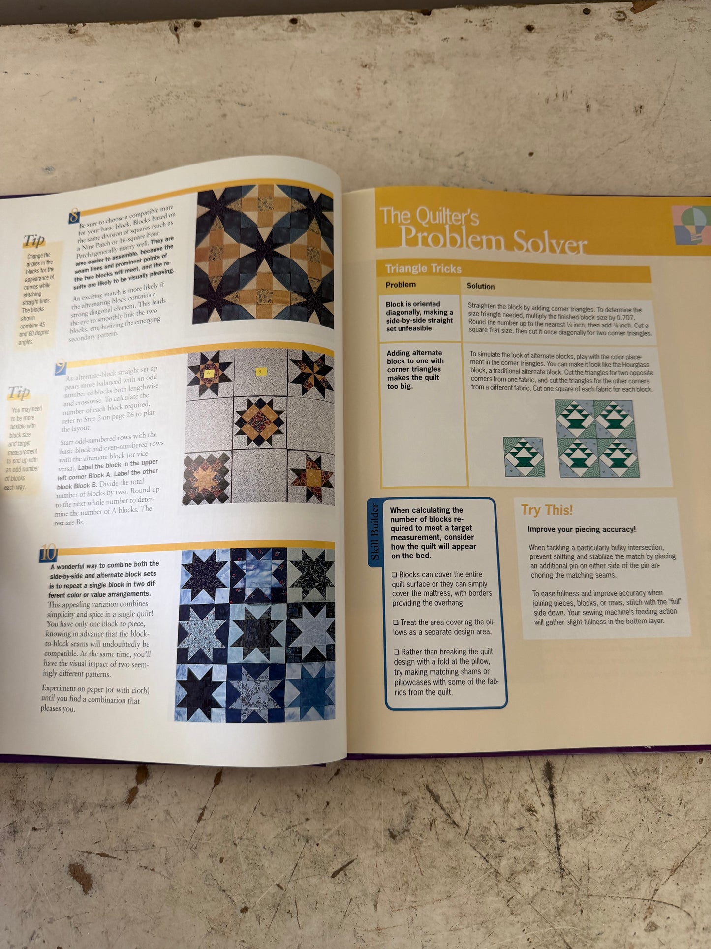 Sensational Sets and Borders by Sally Schneider