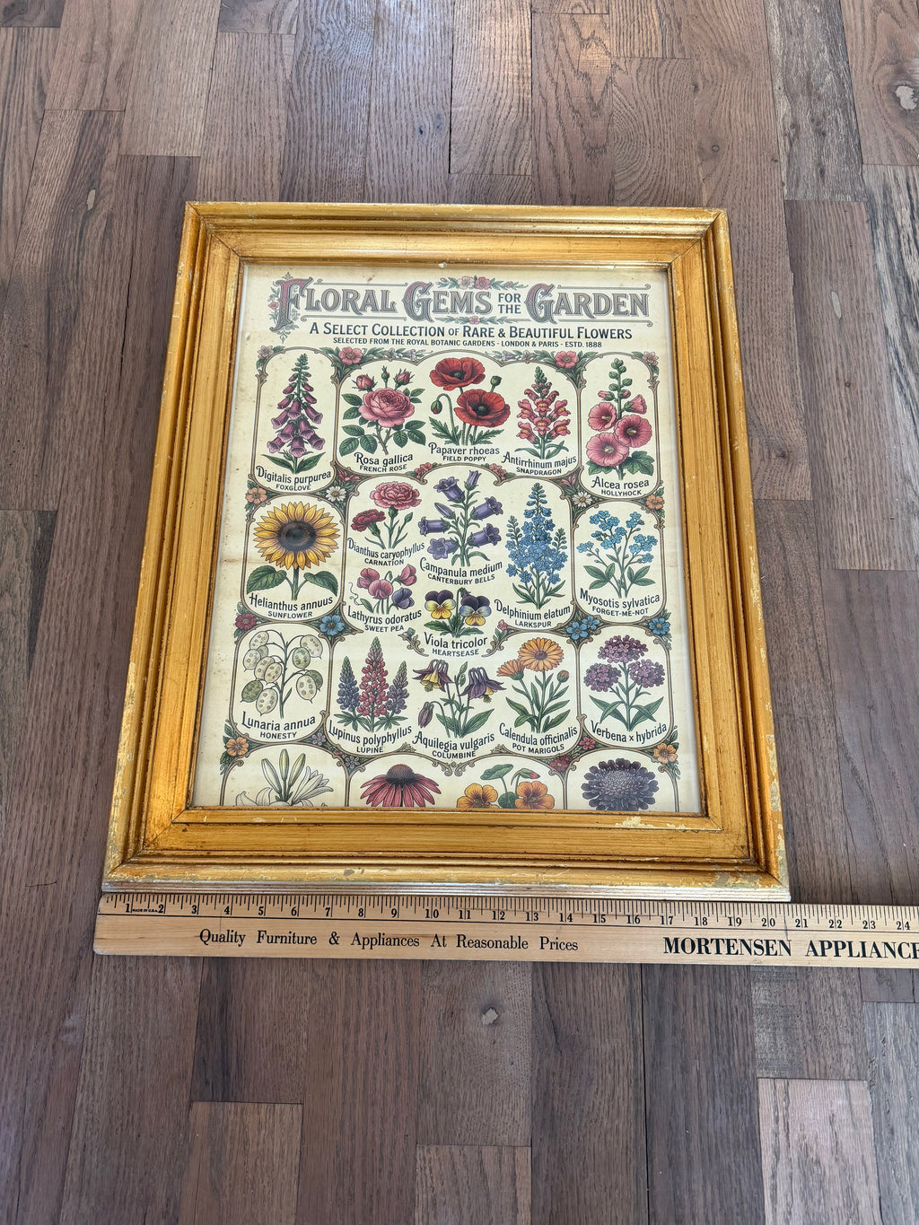 Large Wood gold colored frame with Floral Gems of the Garden Print