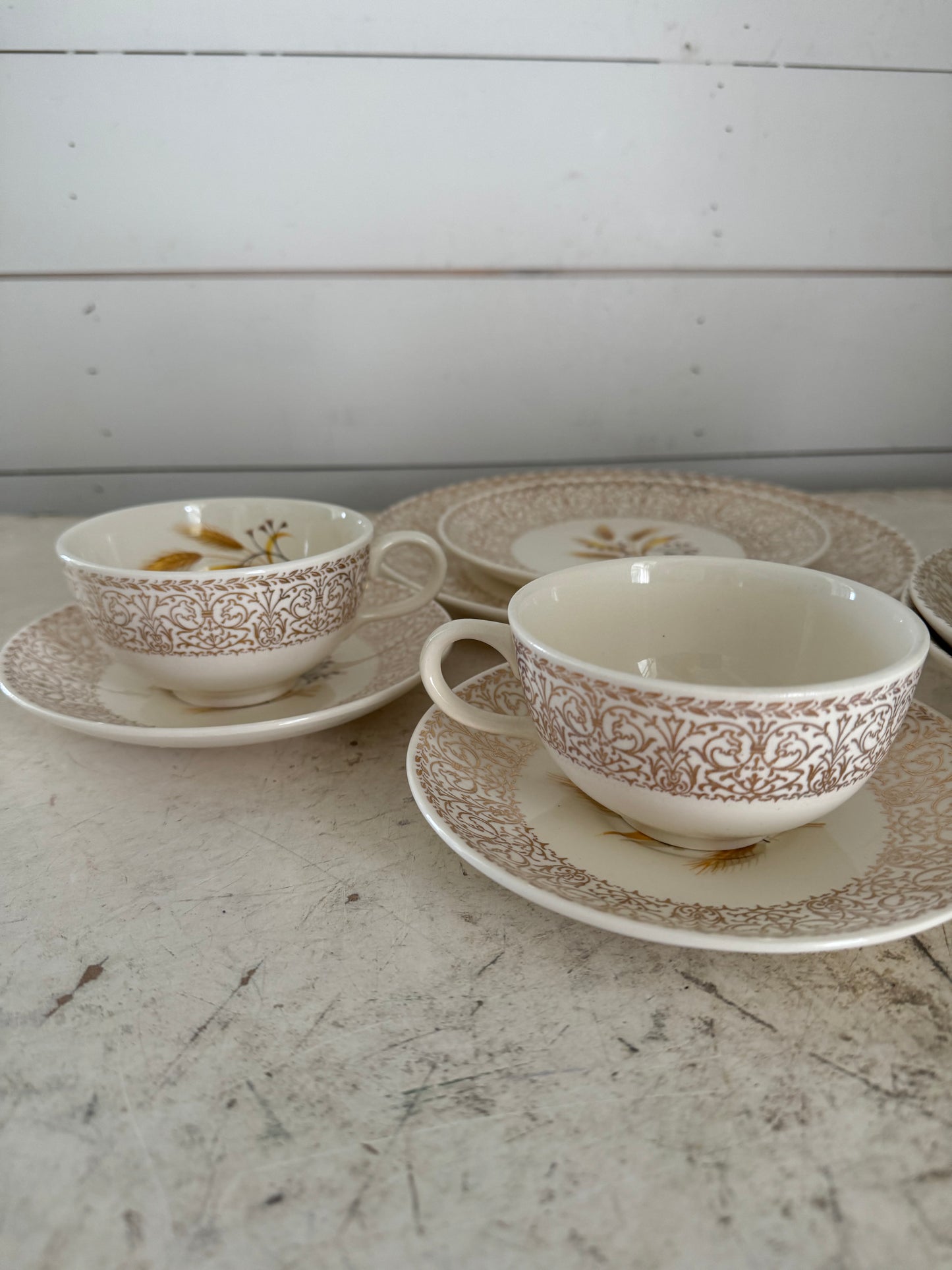 Century Golden Wheat China - Pieces Sold Individually