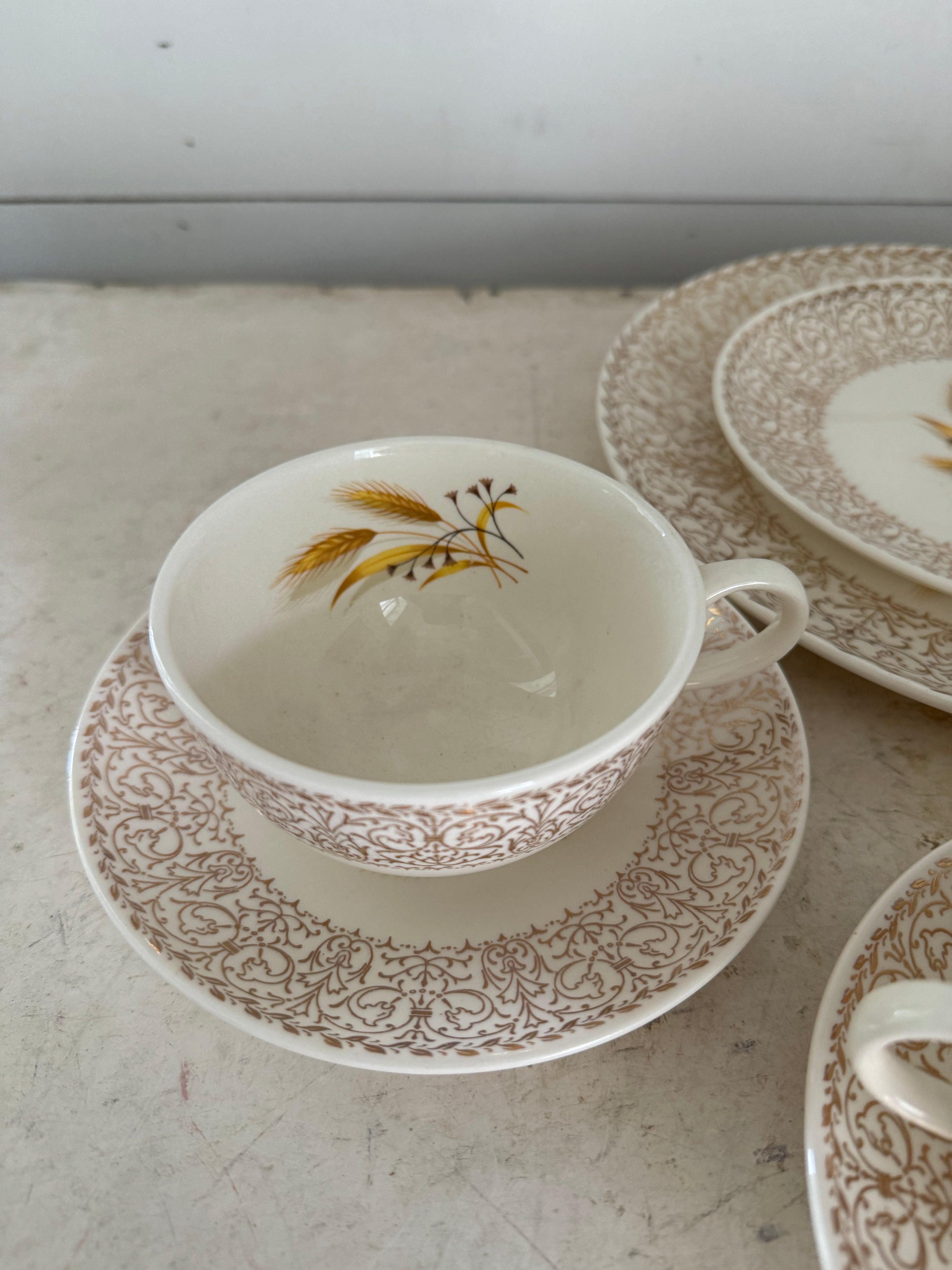 Century Golden Wheat China - Pieces Sold Individually